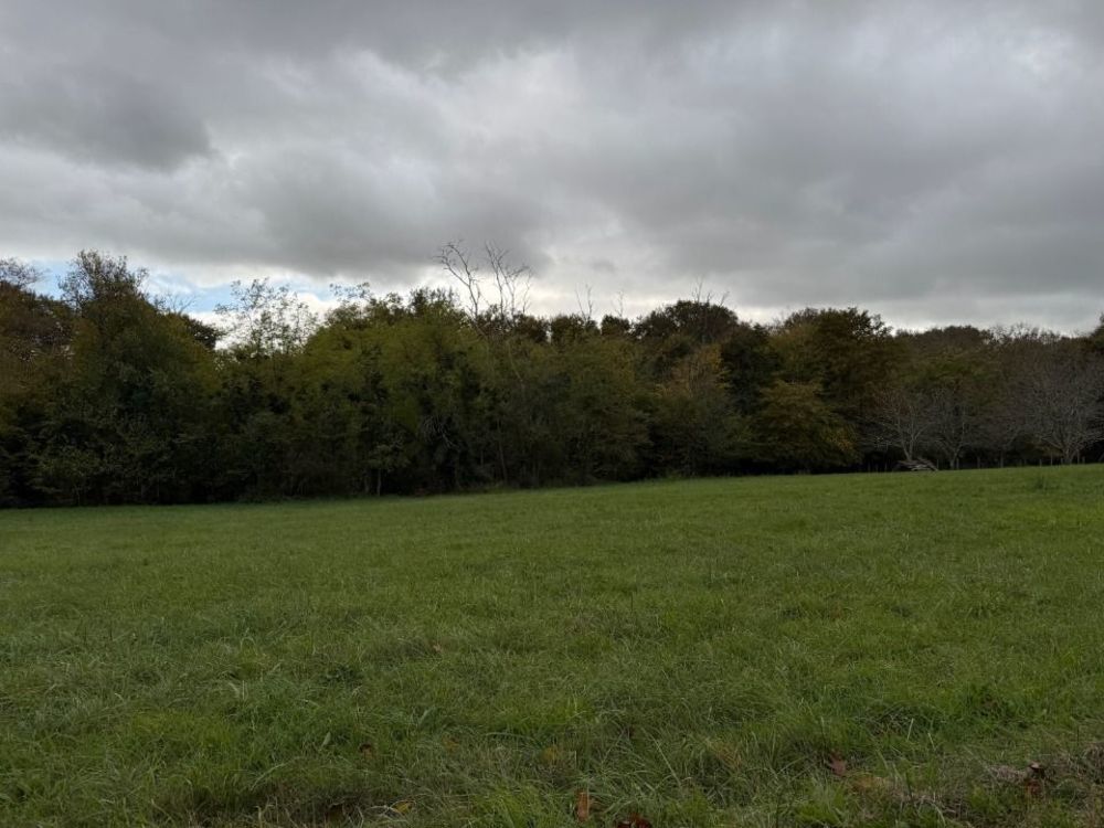 Maisons neuves   Saint-Exup�ry (33190)