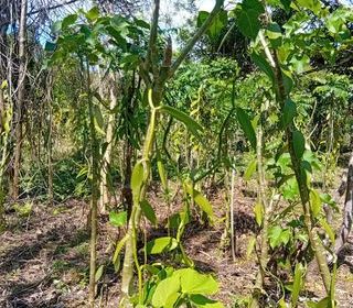  Terrain � vendre 741400 m�