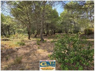  Maison � vendre 7 pi�ces 203 m�