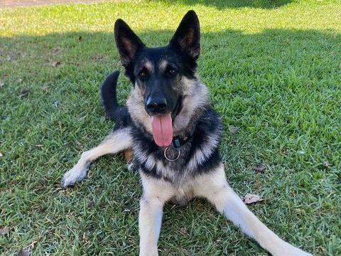 TANGO 300 95610 �ragny