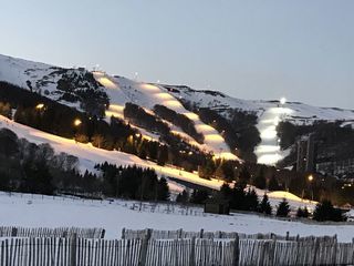 Location  Appartement 