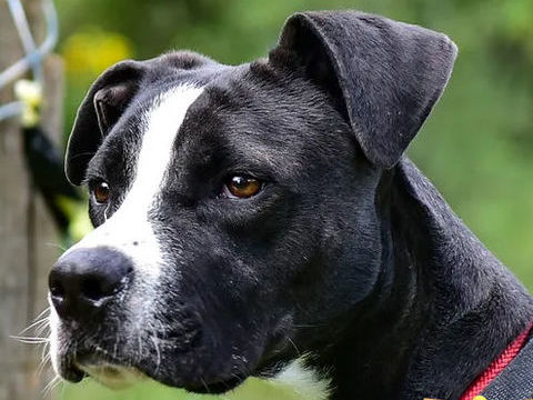 Nikita 230 26700 Pierrelatte