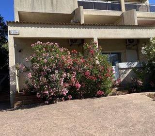 Location  Appartement 