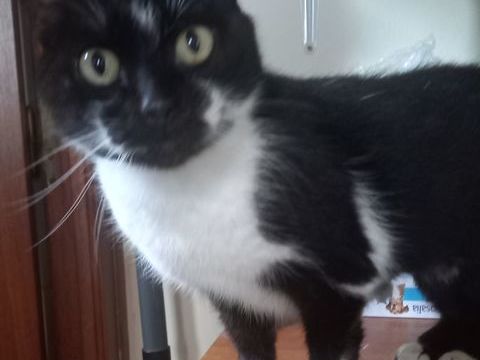 ANOUK 115 95710 Bray-et-l