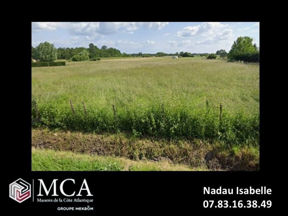 Maisons neuves   Pugnac (33710)