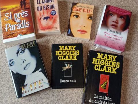 livres   policiers Renage (38)