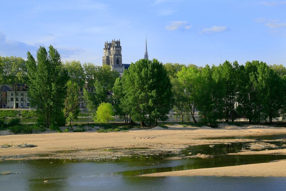  Orléans (45000)
