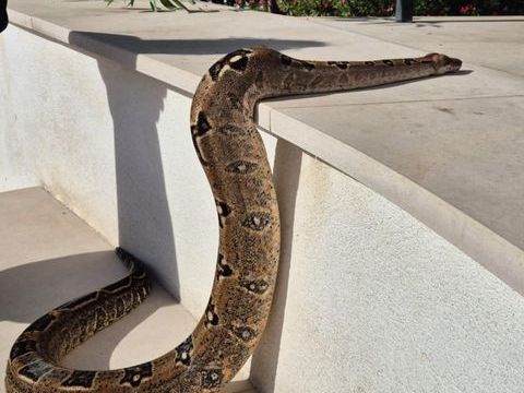 A VENDRE 0 13190 Allauch