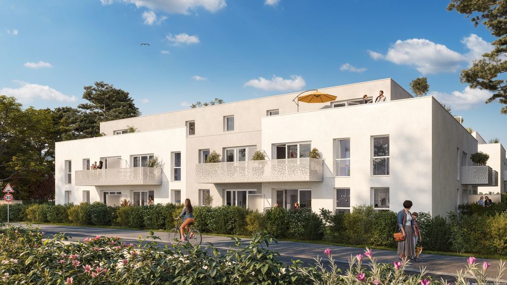 Appartements neufs   Vannes (56000)