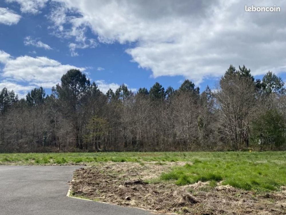 Maisons neuves   Saint-Selve (33650)