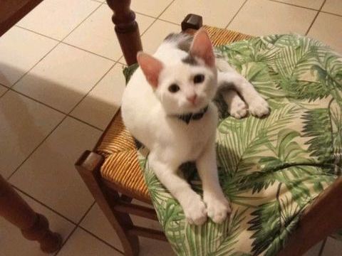 NOUGAT 90 13140 Miramas