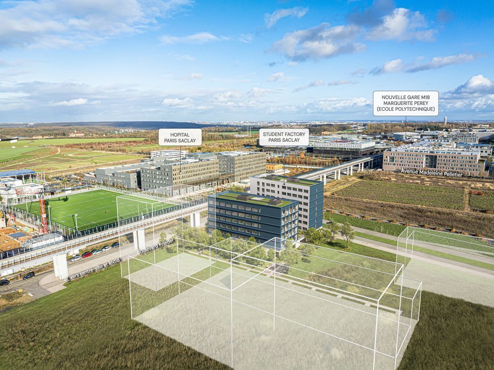 Appartements neufs   Orsay (91400)