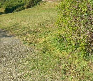  Terrain � vendre 635 m�