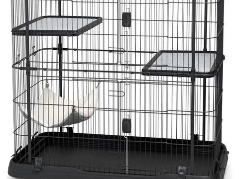 Enclos 200 35000 Rennes