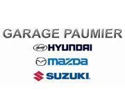 GARAGE PAUMIER, concessionnaire 45
