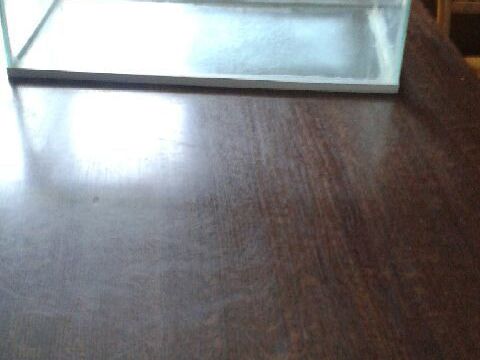 Aquarium pour poissons ou tortue 55 35000 Rennes