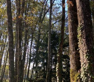  Terrain � vendre 12500 m�