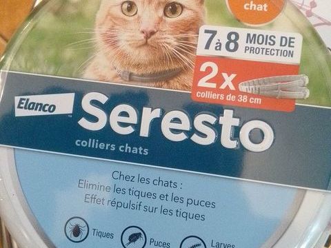 Colliers X 2 Chats 25 60130 Bulles