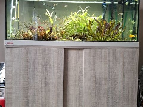 aquarium EHEIM vivaline led 180 litres 650 13470 Carnoux-en-provence