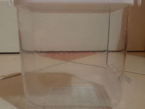 Lot de 2 baignoires pour oiseaux 12 45230 La bussi�re