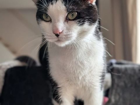 Marin 190 59113 Seclin