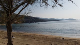 Location  Appartement 