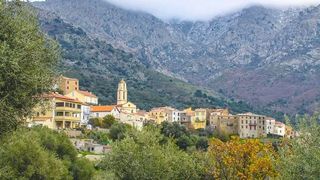  Appartement � vendre 1 pi�ce 24 m�