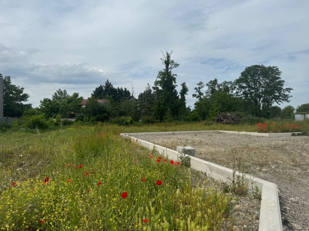 Terrains  batir   Algolsheim (68600)