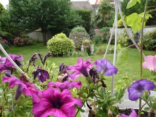  Maison � louer 1 pi�ce 30 m�