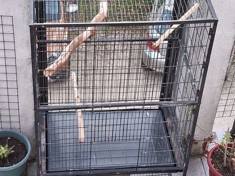 Grande cage 0 77430 Champagne-sur-seine