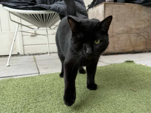 Razowski 190 44000 Nantes