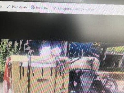 ROULOTTE CAISSE DE TRANSPORT CHIEN 300 34280 La grande-motte