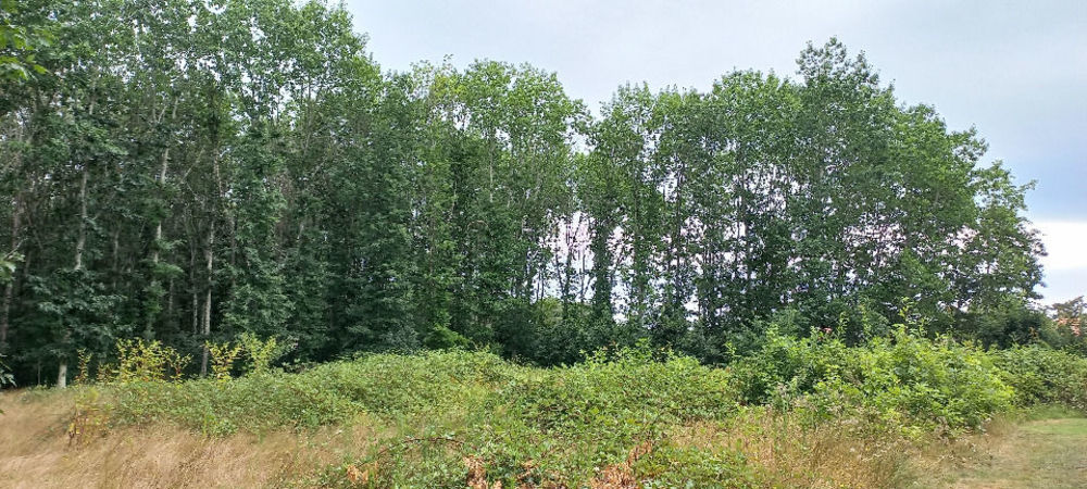 Maisons neuves   M�nesplet (24700)