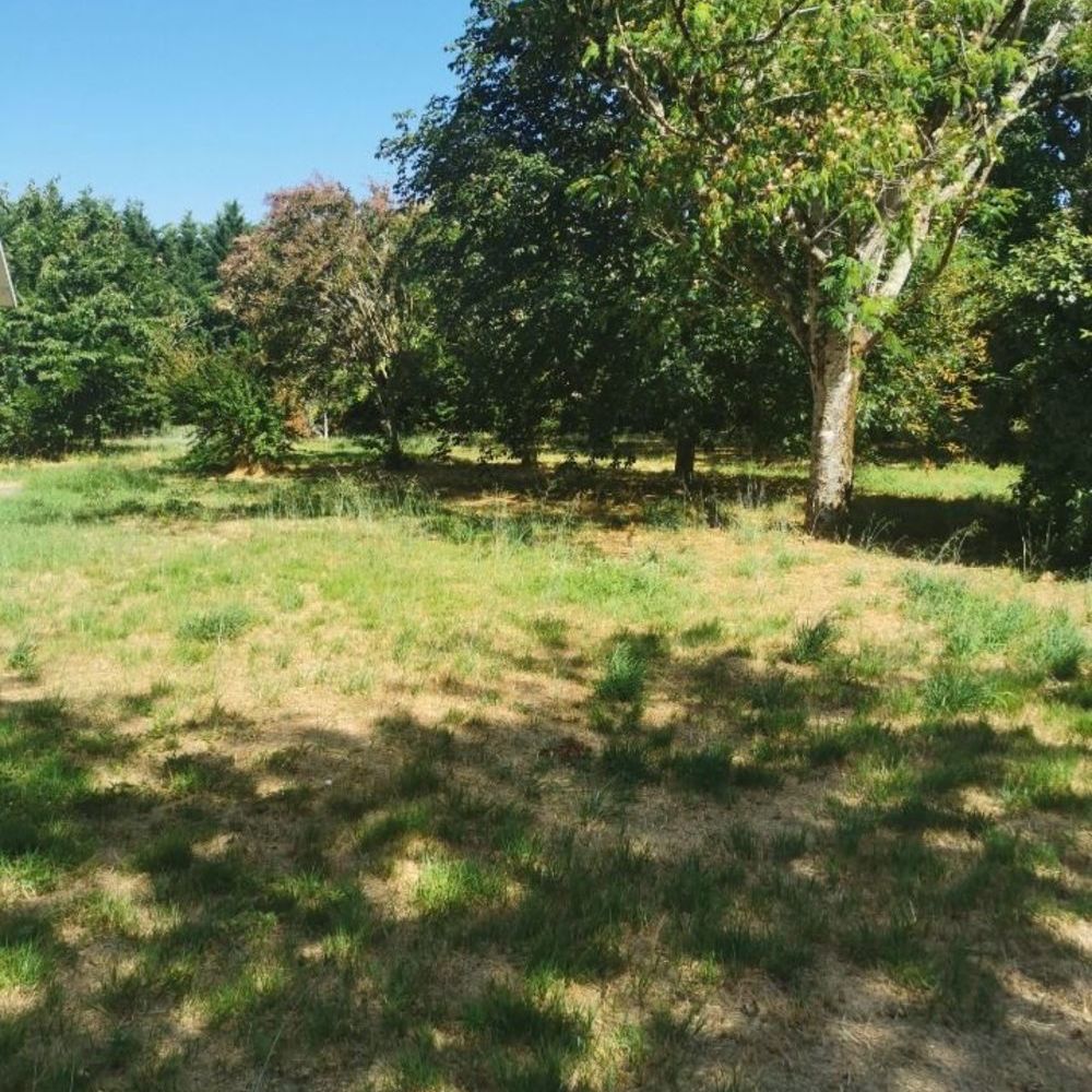 Maisons neuves   Roaillan (33210)