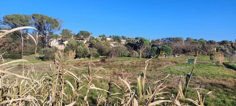 Appartements neufs   Fr�jus (83600)