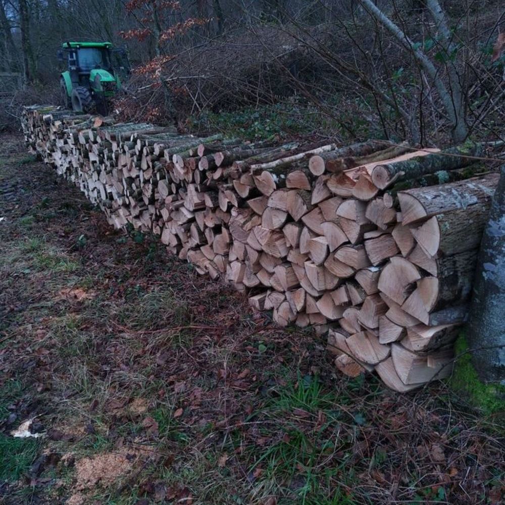Bois de chauffage Jardin
