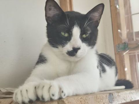 KADOK 200 26700 Pierrelatte