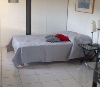  Appartement � louer 1 pi�ce 29 m�