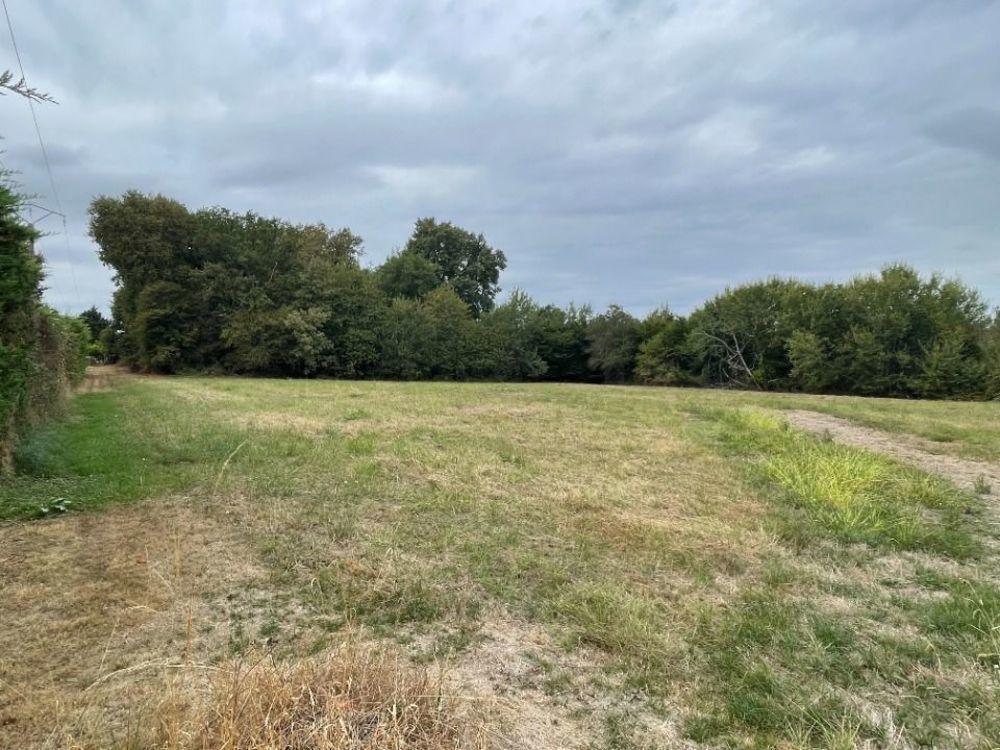 Maisons neuves   Saint-F�lix-de-Foncaude (33540)