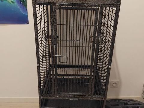 Cage oiseaux 40 44150 Ancenis