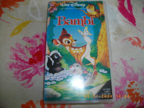 CASSETTE VIDEO VHS DE :  BAMBI  Perros-Guirec (22)