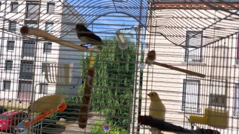 canaris 25 71100 Chalon-sur-sane