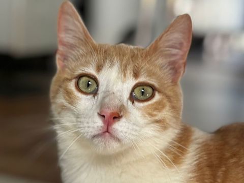 CREM 230 27620 Gasny