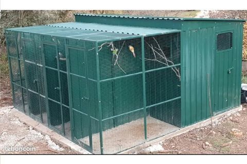 Volière d elevage  perroquet et grande perruche 3200 13300 Salon-de-provence
