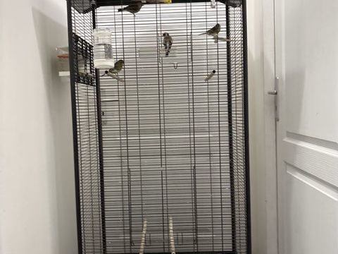 Voli&egrave;re compl&egrave;te occup&eacute;e 450 13220 Châteauneuf-les-martigues