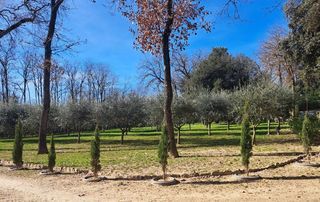  Terrain � vendre 1000 m�