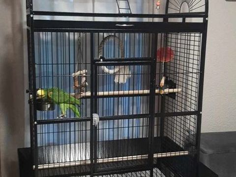 Grande cage pour perroquet 180 86100 Antran