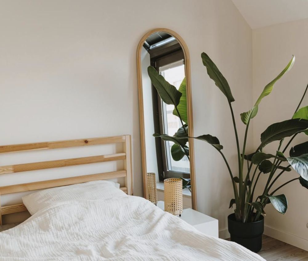 Appartements neufs   Toulouse (31400)