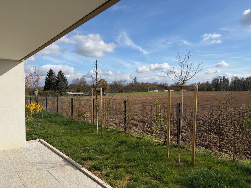 Appartements neufs   Geispolsheim (67118)