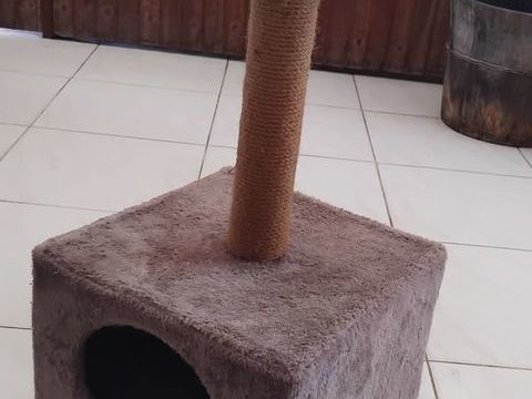 Arbre &agrave; chat + gamelle anti glouton 20 97300 Cayenne